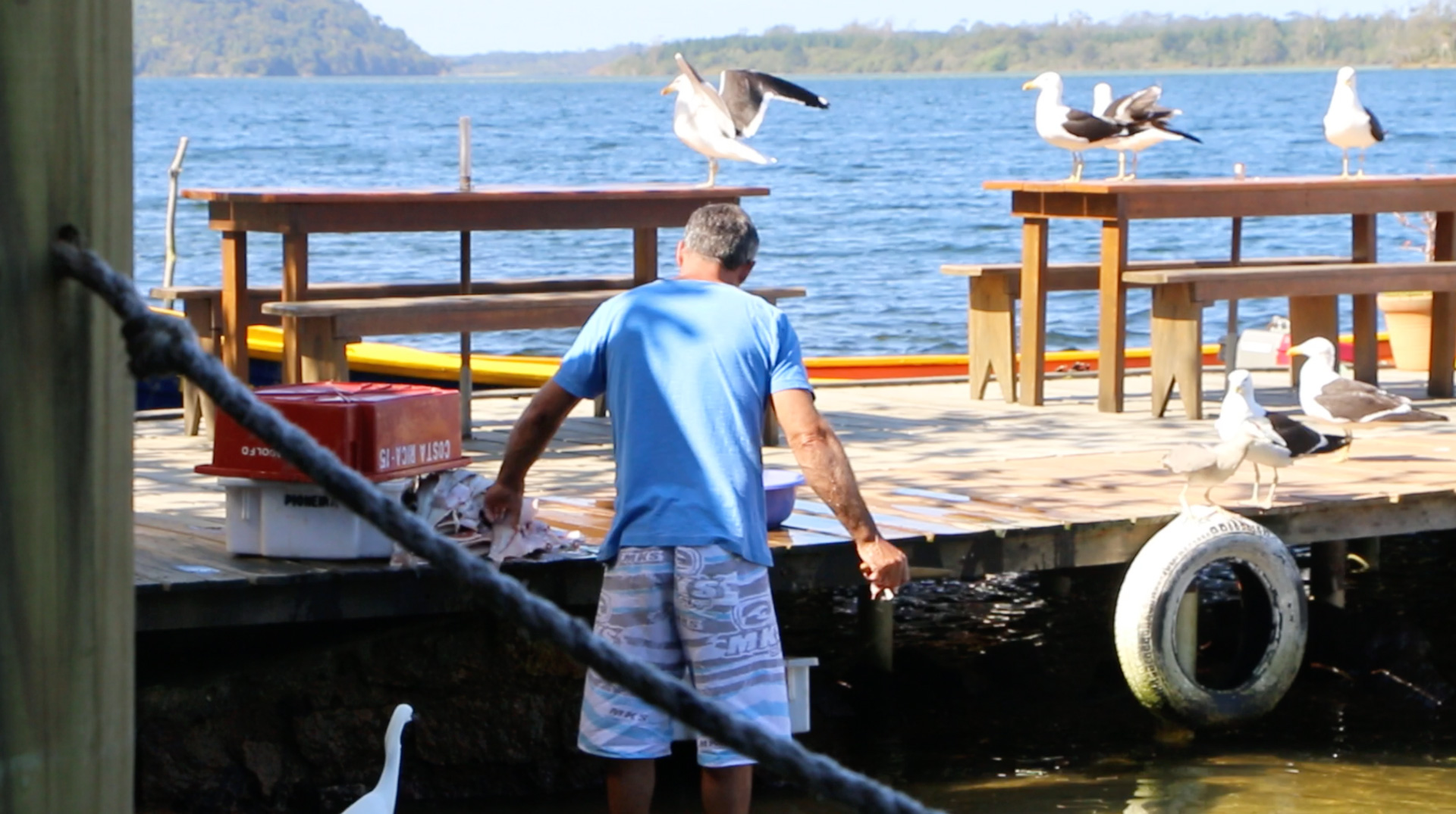 fisherman-gutting-fish-florianopolis