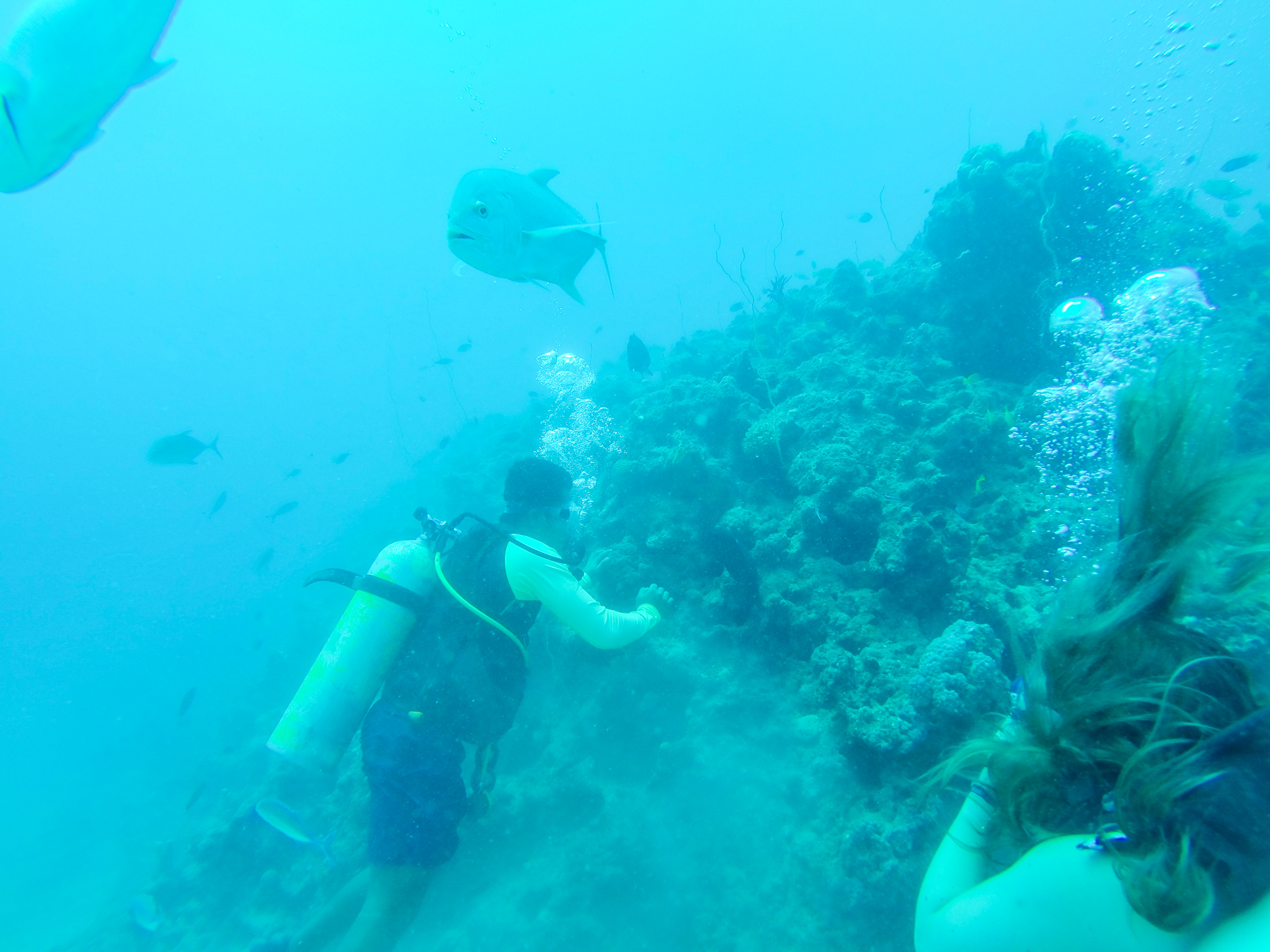 Diving clear blue waters with fish of South Sea Island, Fiji