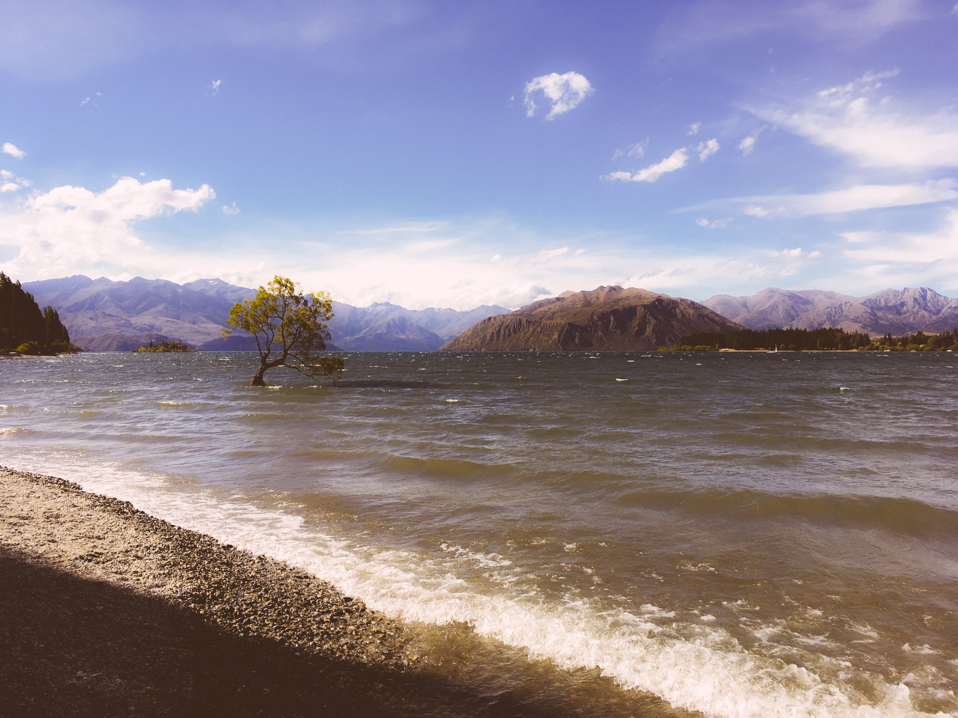 Lone tree Lake Wanaka