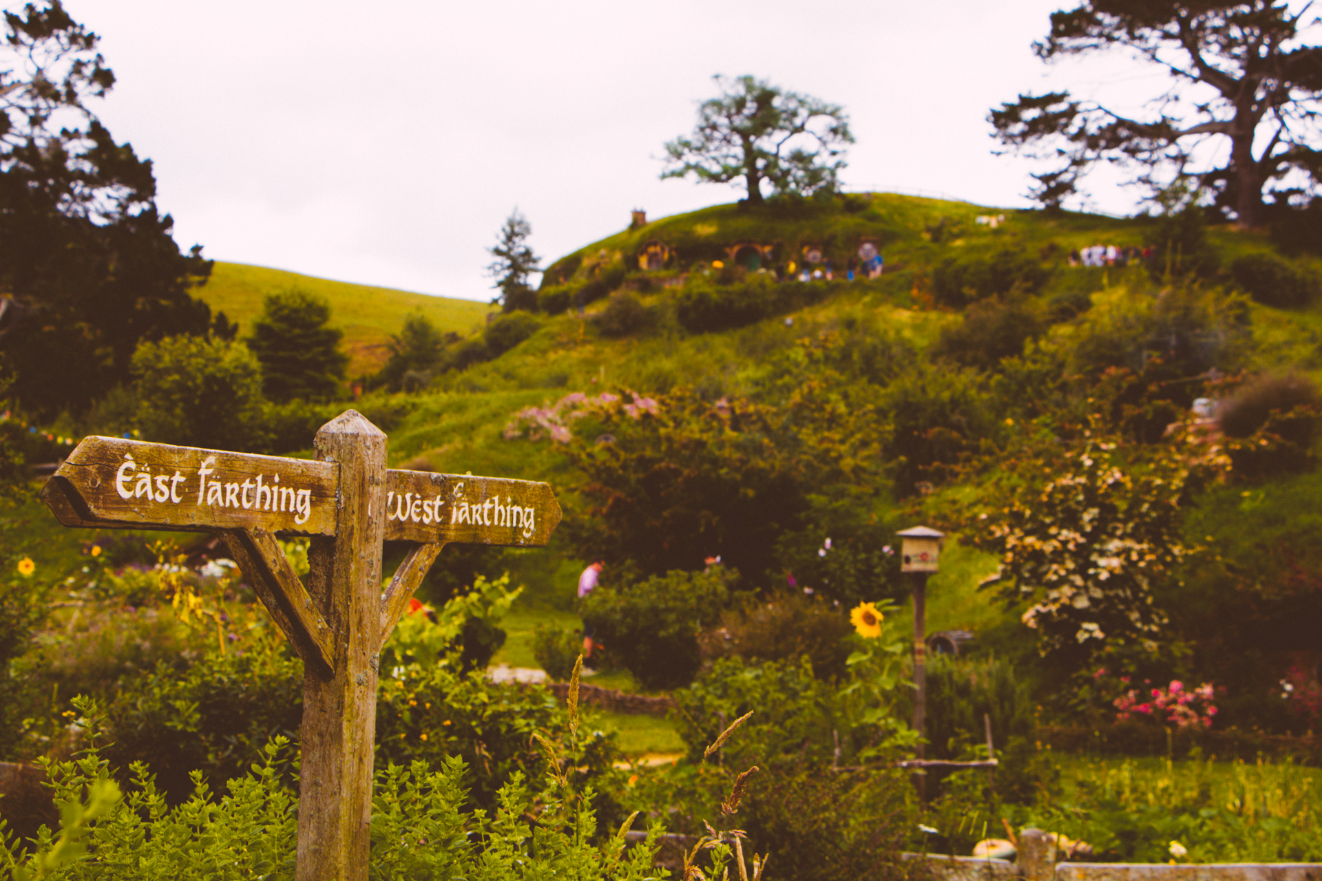 Matamata Hobbiton Signpost