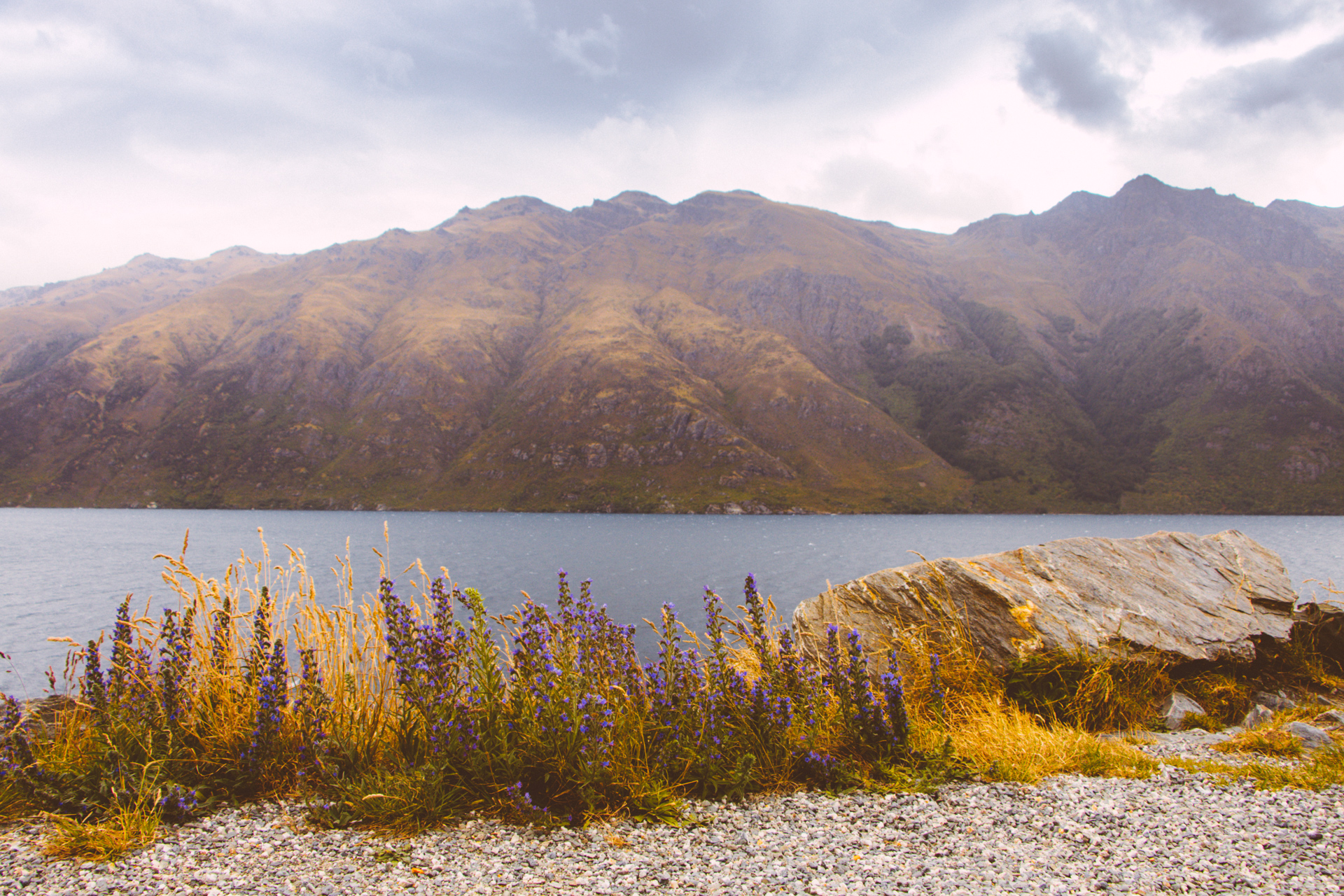 Queenstown Lake and Mountains