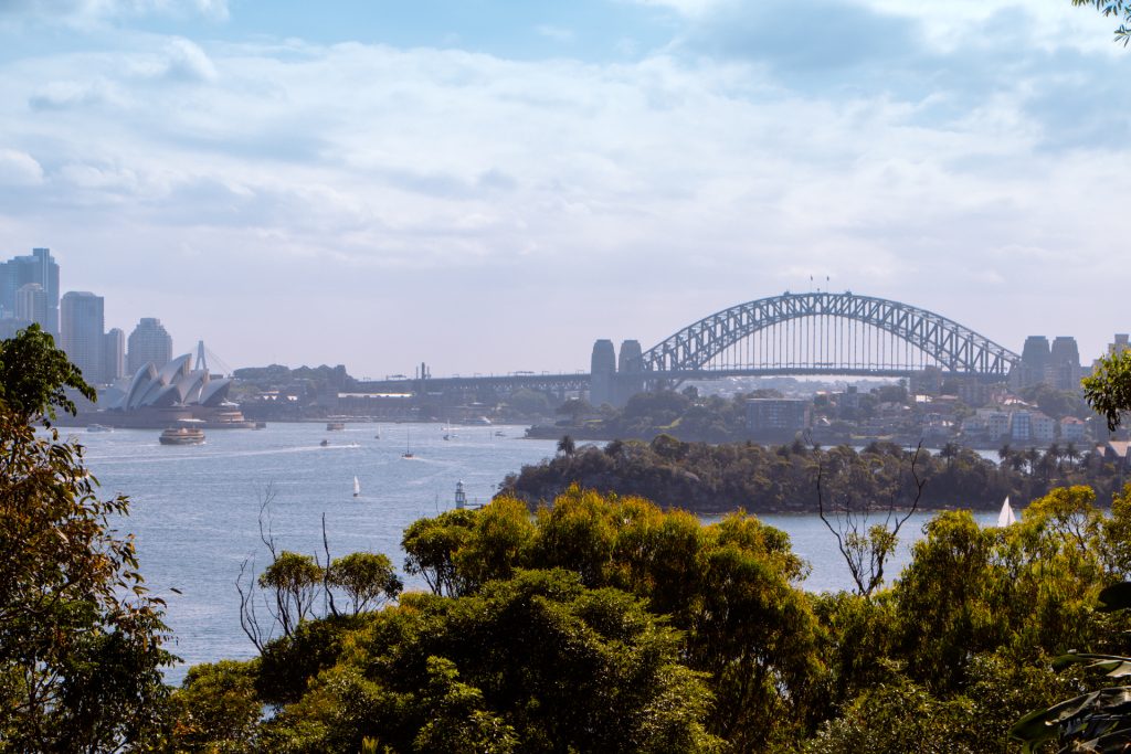 Sydney Zoo overlooking Sydney harbour bridge and bay