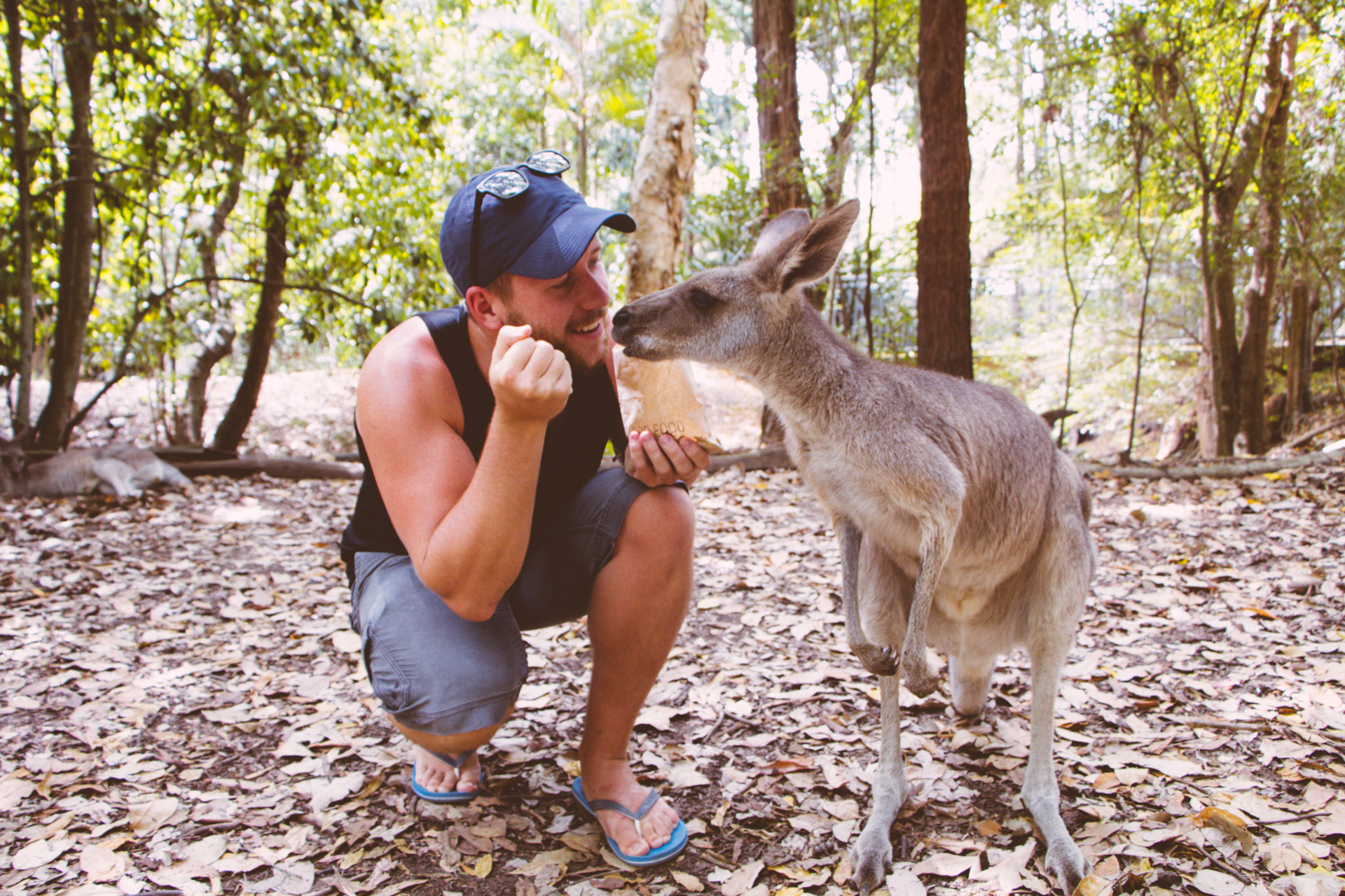 Alex with Kangaroo at Sydney Zoo