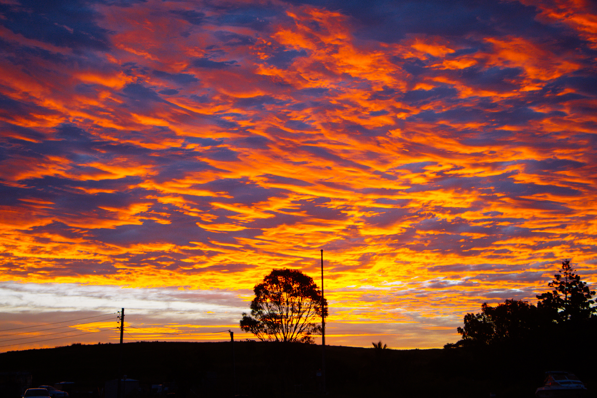 Golden Sunset at Noosa Head