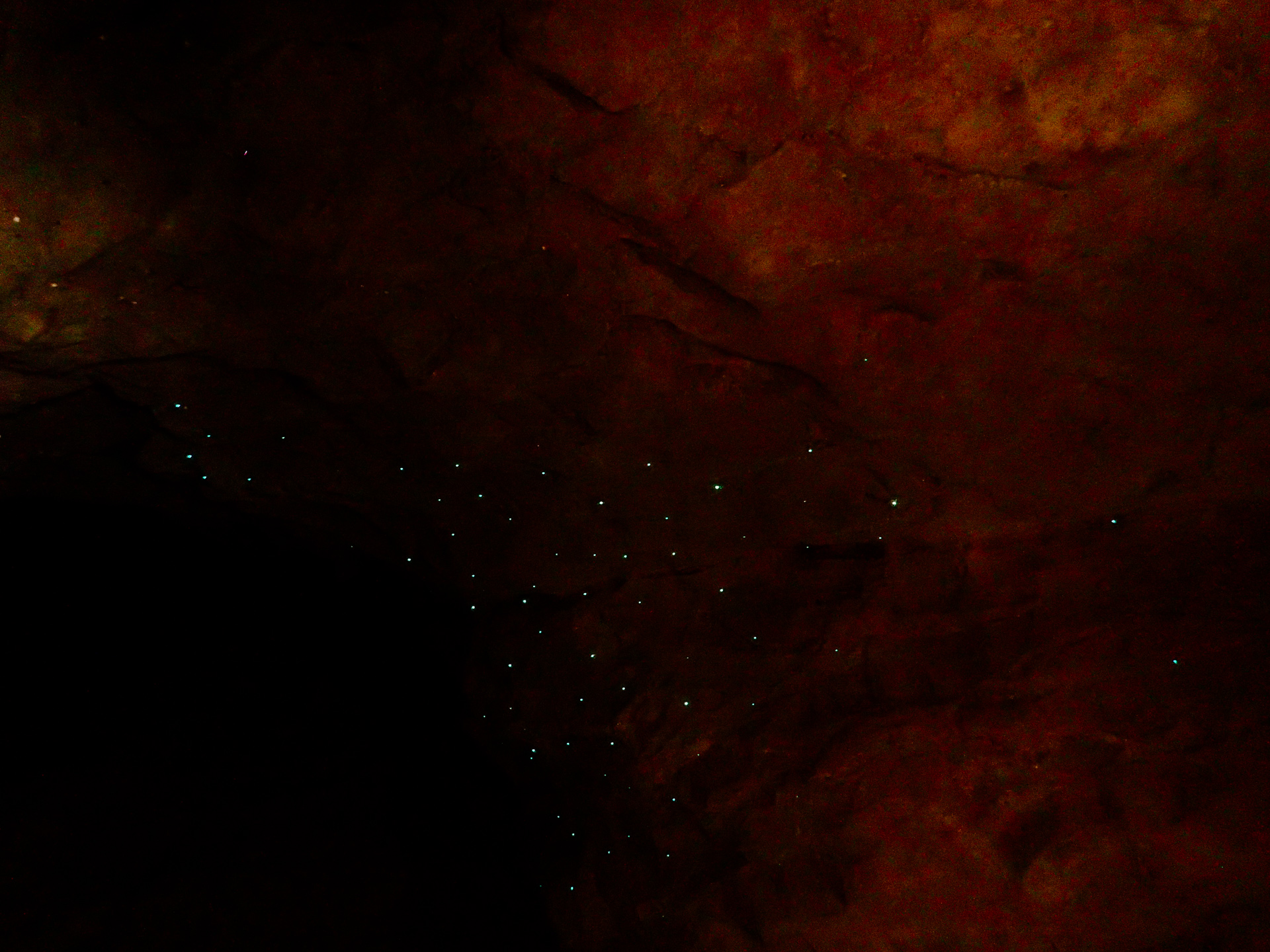 Blackwater Tubing Abyss glowworms New Zealand