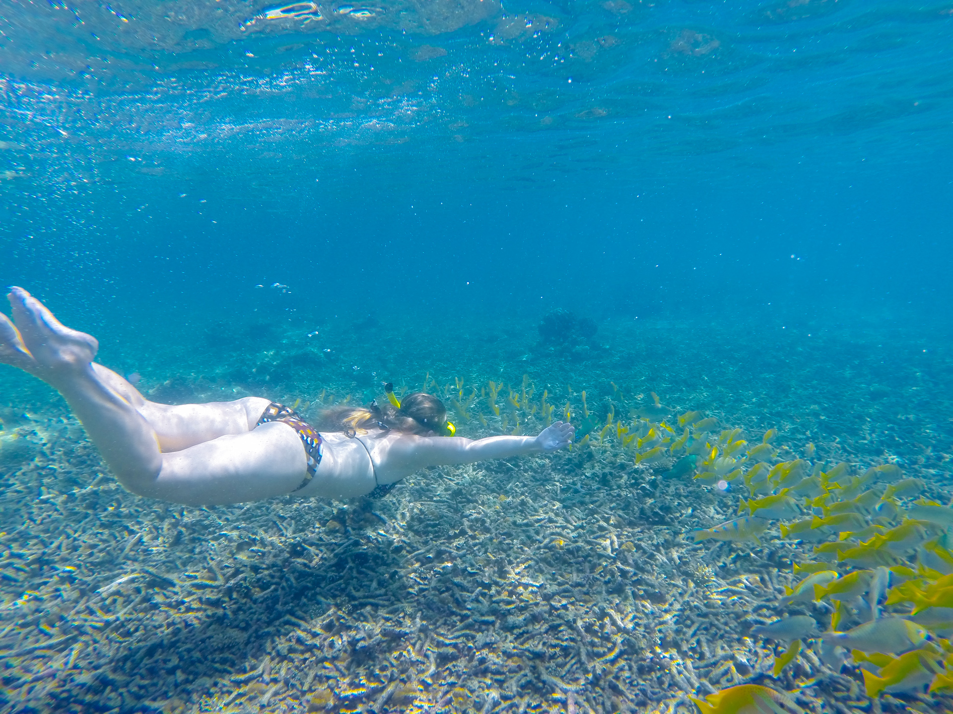 Snorkelling in Thailand