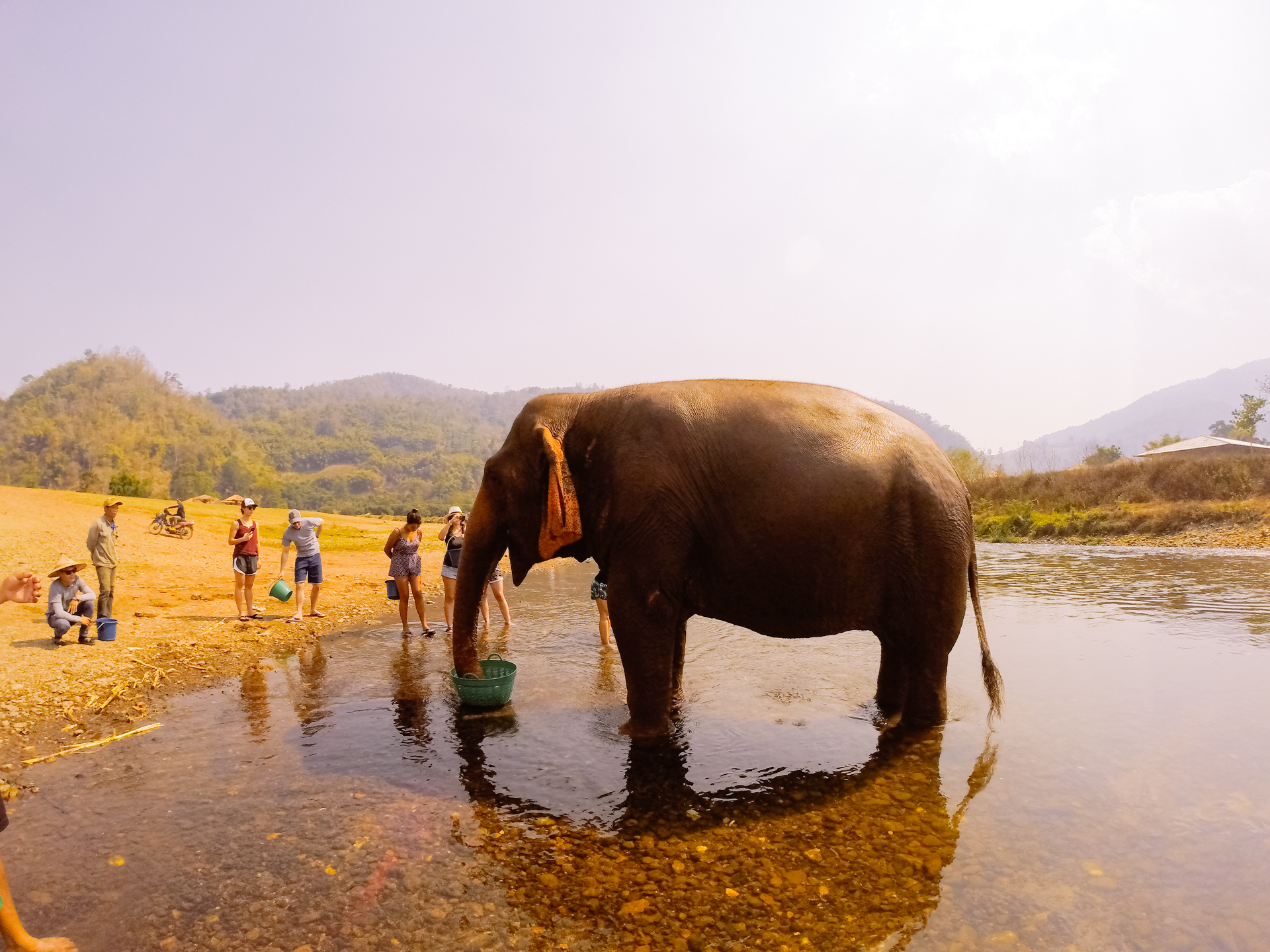 Elephant Sanctuary Chiang Mai