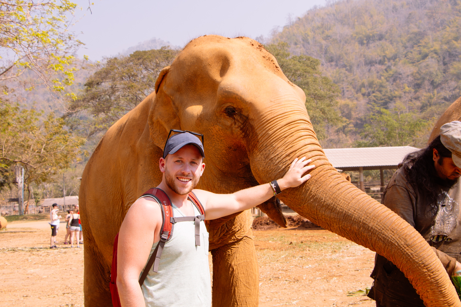 Chiang Mai Elephants in Sanctuary Elephant Park