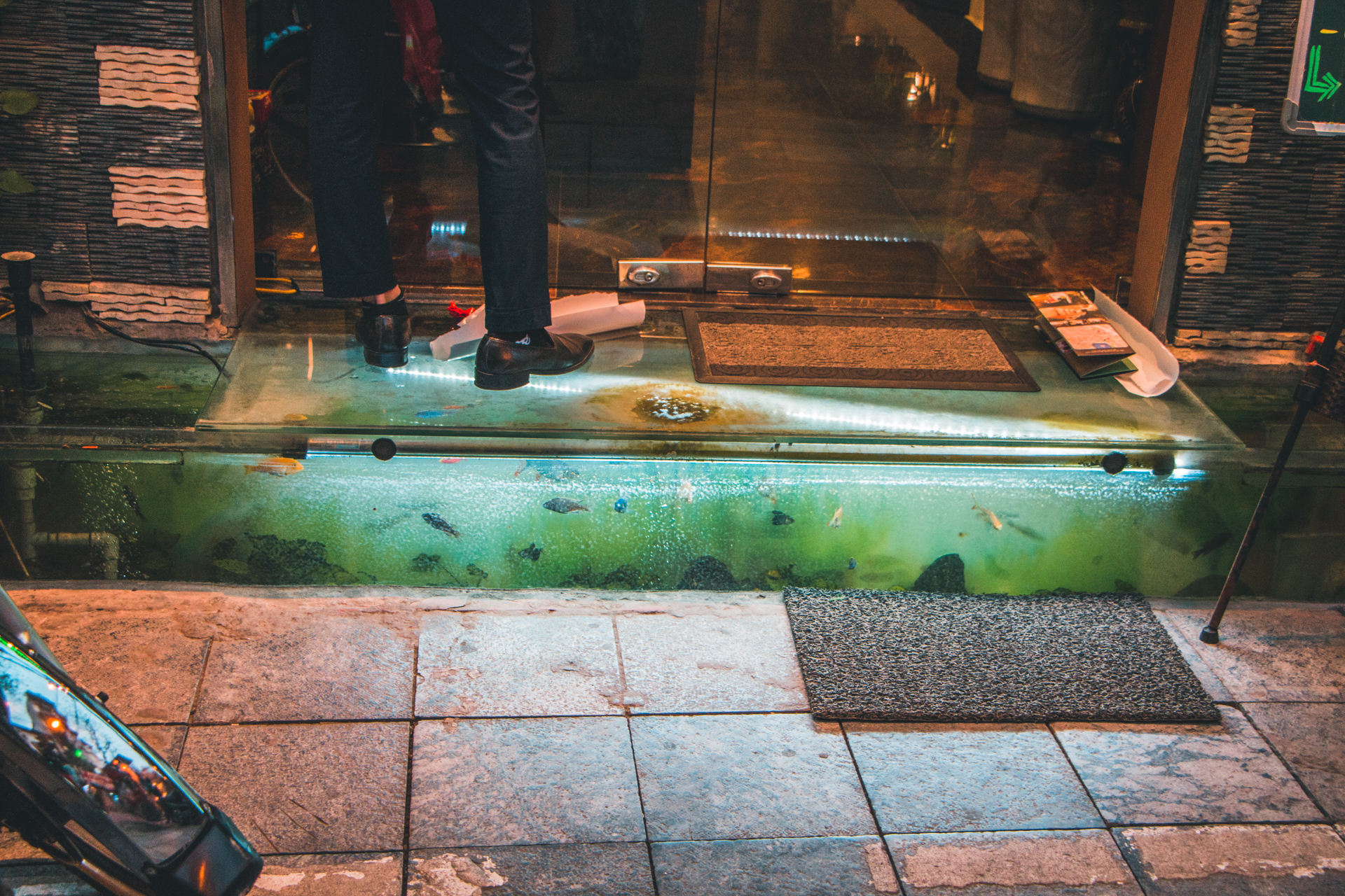 Shop step with fish and water inside