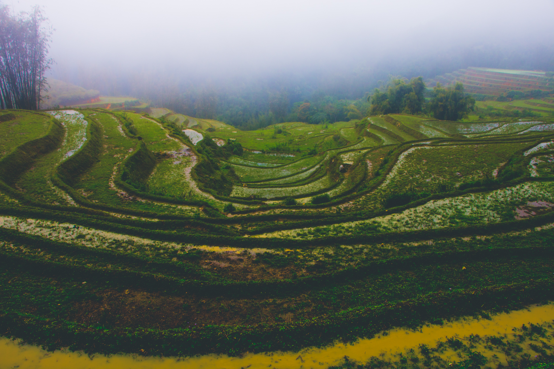 Staggered Rice Field View in Sapa, Vietnam